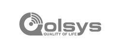 Qolsys logo
